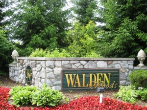 Walden Woods