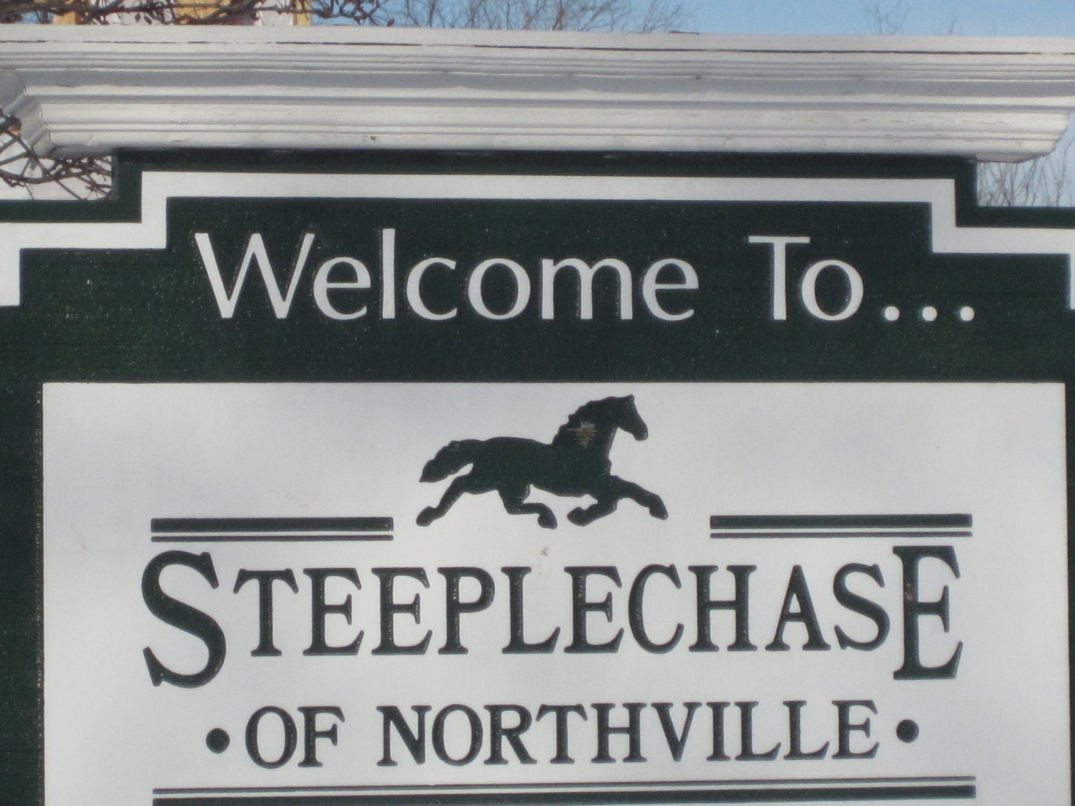 Steeplechase Sales Information for 2019 Novi Northville Homes Blog
