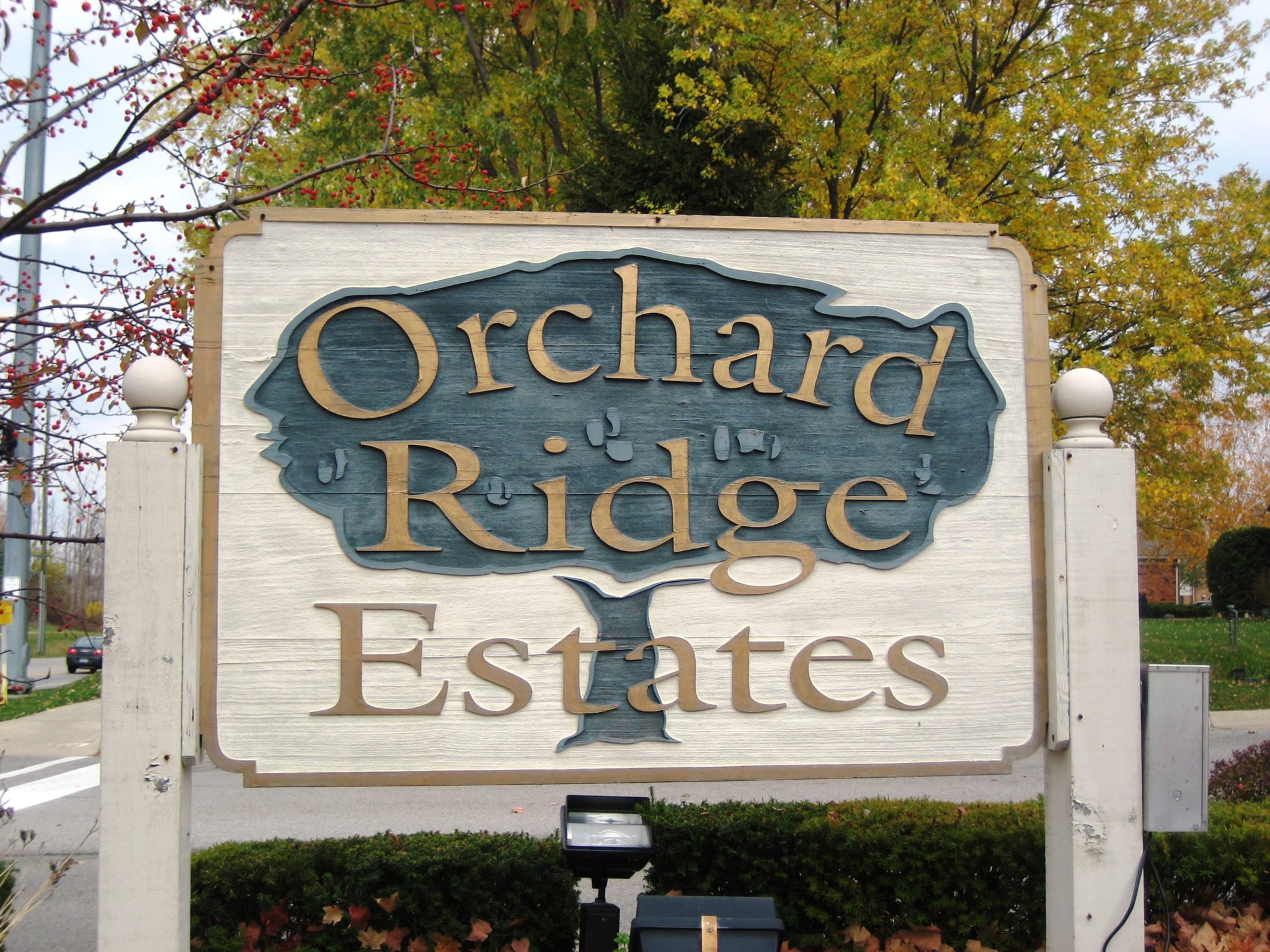 Orchard Ridge Estates Sales Information for 2021 Novi Northville